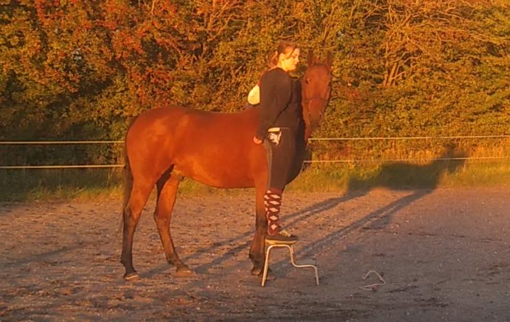 Anden særlig race Gniden (Tops) - Vi er begyndt at arbejde på indparkering 4-10 2020 billede 11