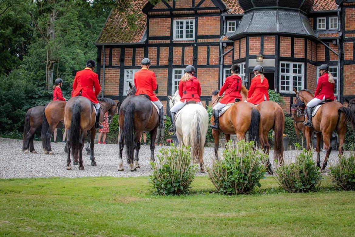 Fjordhest Atom Moskilde billede 13