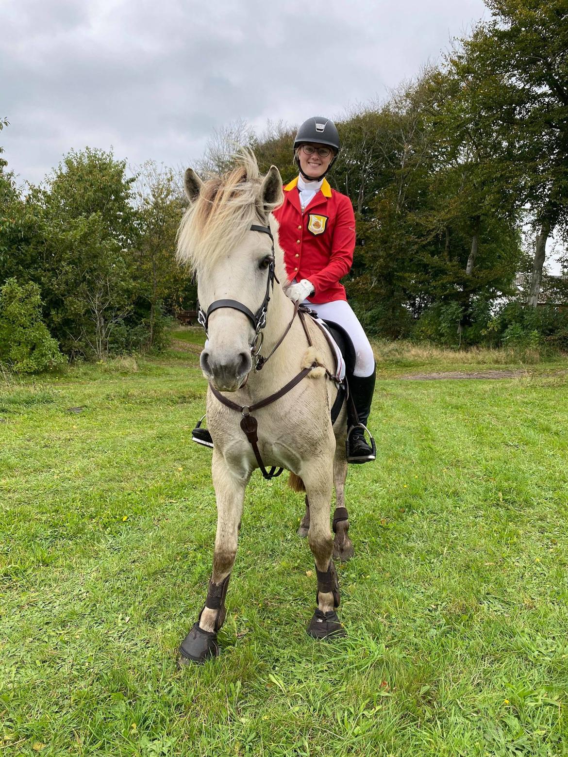 Fjordhest Atom Moskilde billede 18