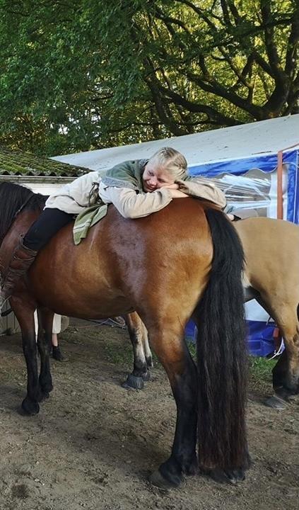 Anden særlig race Vedtoftes Duchess billede 14