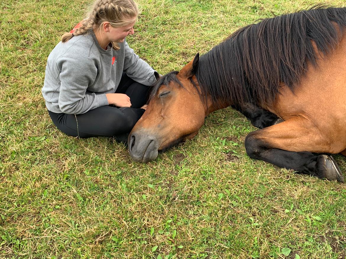 Anden særlig race Vedtoftes Duchess billede 18