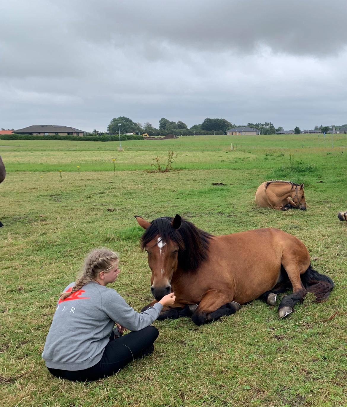 Anden særlig race Vedtoftes Duchess billede 20