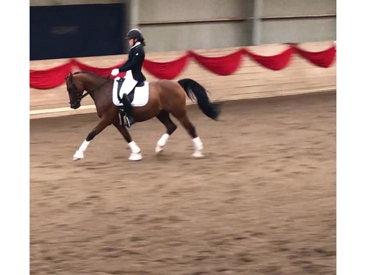 {{currentPhoto.altText}} billede {{currentPhoto.number}}