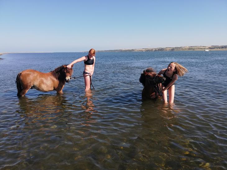 {{currentPhoto.altText}} billede {{currentPhoto.number}}