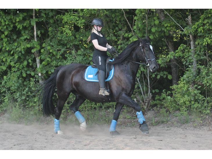 {{currentPhoto.altText}} billede {{currentPhoto.number}}