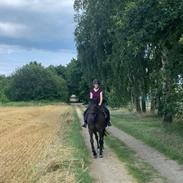 Holstener Iris von Harknag