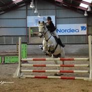 Anden særlig race My random sweetheart