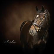 Oldenborg Zejr af Østerdovergaard