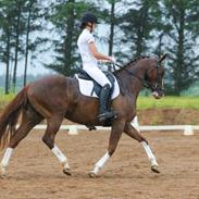 DSP Baskærlunds magic whisper