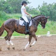 DSP Baskærlunds magic whisper