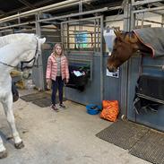 DSP Stenvænges sarka 