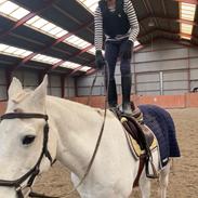 DSP Stenvænges sarka 