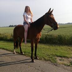 Traver Baby Princess (SOLGT) 