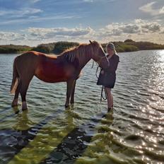 Anden særlig race Andy's Girl 