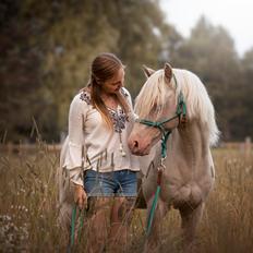 Welsh Pony (sec B) Aastrupgaards Safir •rest in paradise•