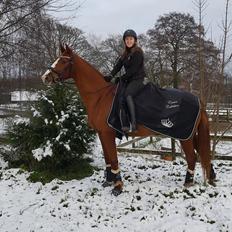 Dansk Varmblod Wiesla