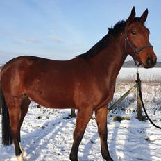 Oldenborg Muhlegaardens santos