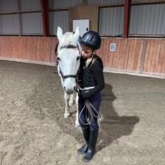 DSP Stenvænges sarka 