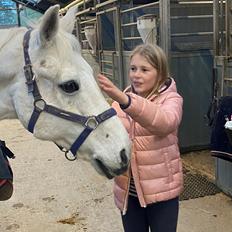 DSP Stenvænges sarka 