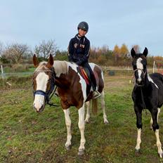 Pinto Kilgast's Angel