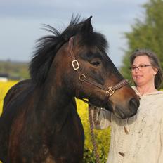 New Forest Rosie (Little Luck)