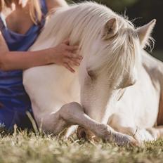 Anden særlig race Perle