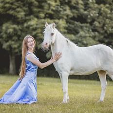 Anden særlig race Perle