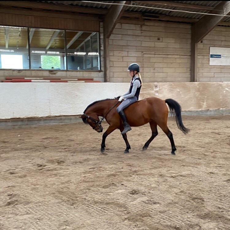 Anden særlig race Figaros Lille fix billede 1