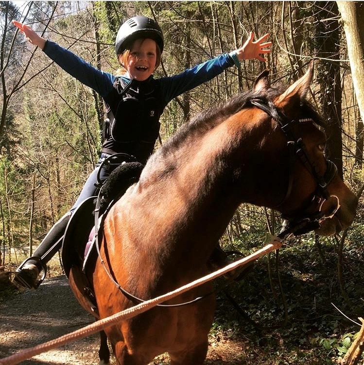 Welsh Cob (sec D) Etnies des Jodlies billede 9