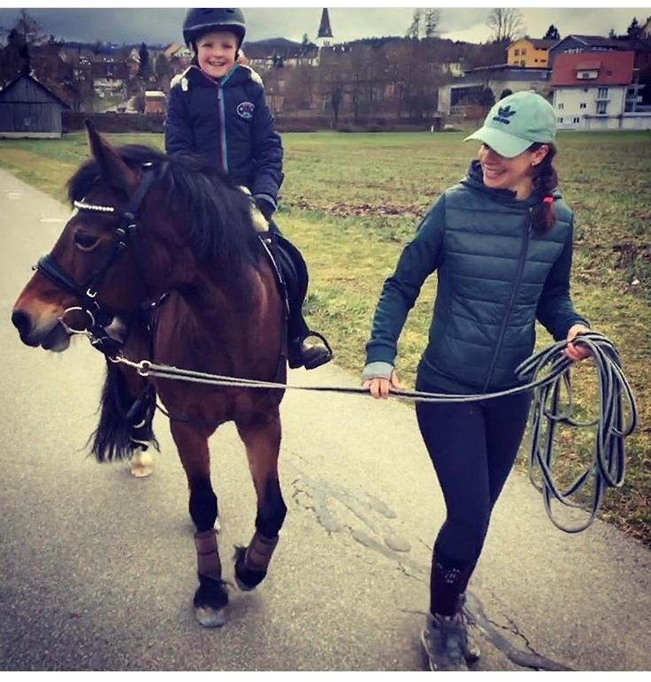 Welsh Cob (sec D) Etnies des Jodlies billede 13