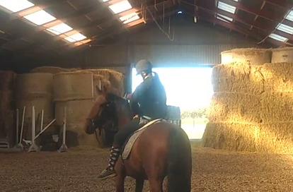 Anden særlig race Gniden (Tops) - Første gang jeg er oppe og sidde på ham, efter jeg fik ham hjem 16-10 2020 billede 9