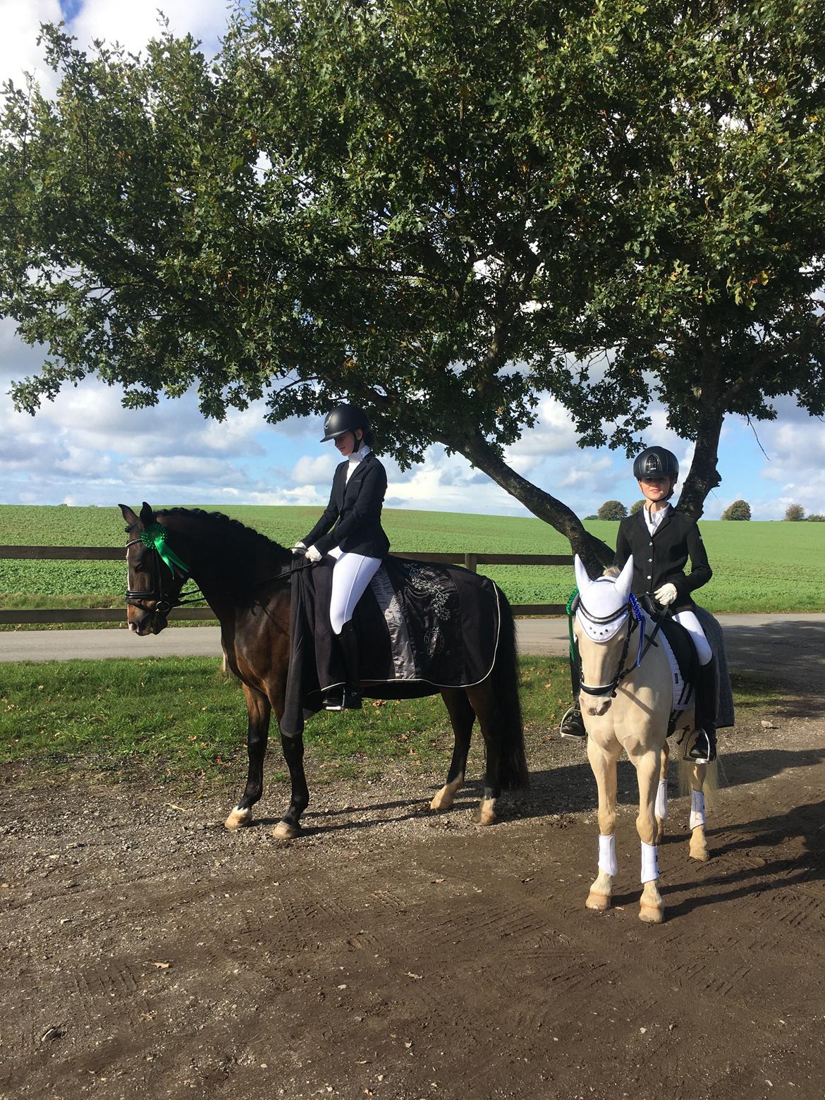 New Forest Bryggergårdens Bacardi billede 8