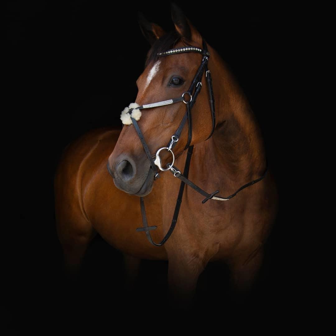 Traver Malou billede 14