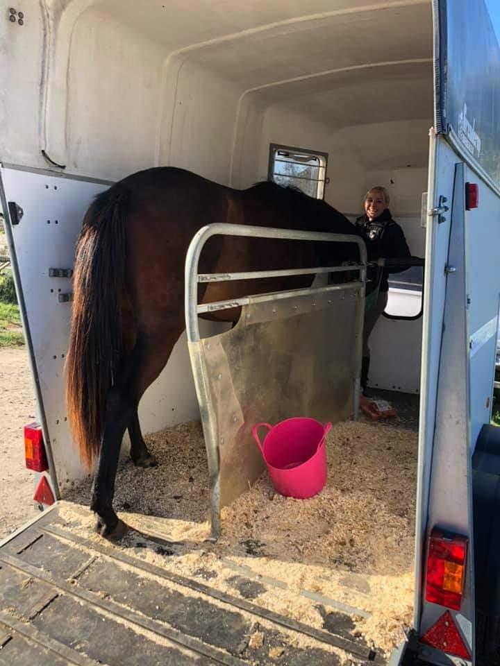 Anden særlig race Mosedalens La Prima billede 15