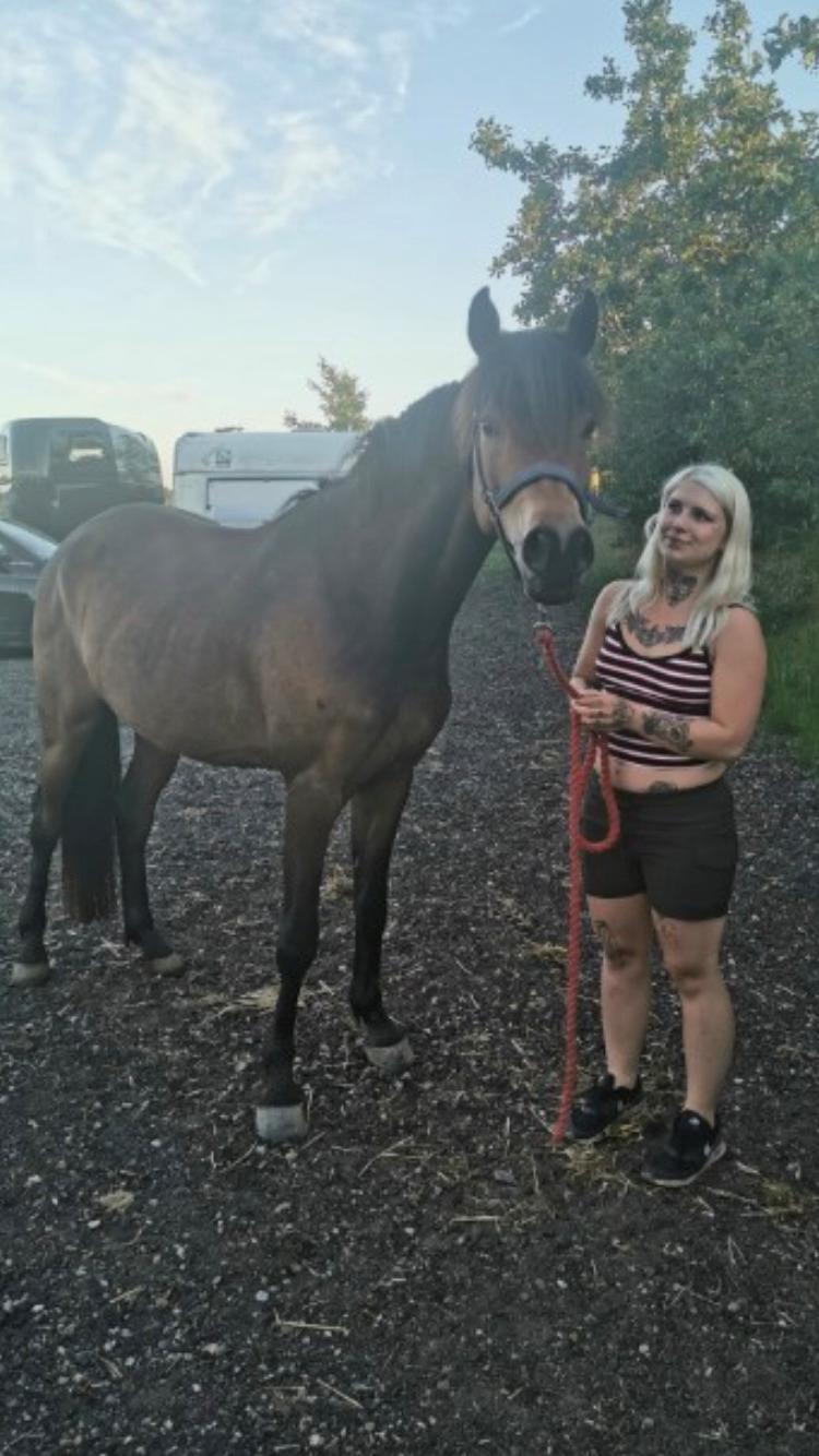 DSP Falcao billede 1