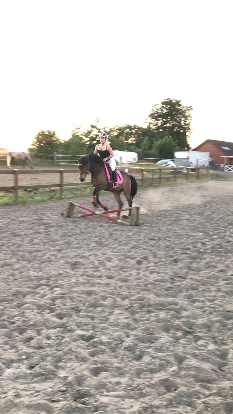 DSP Falcao billede 3