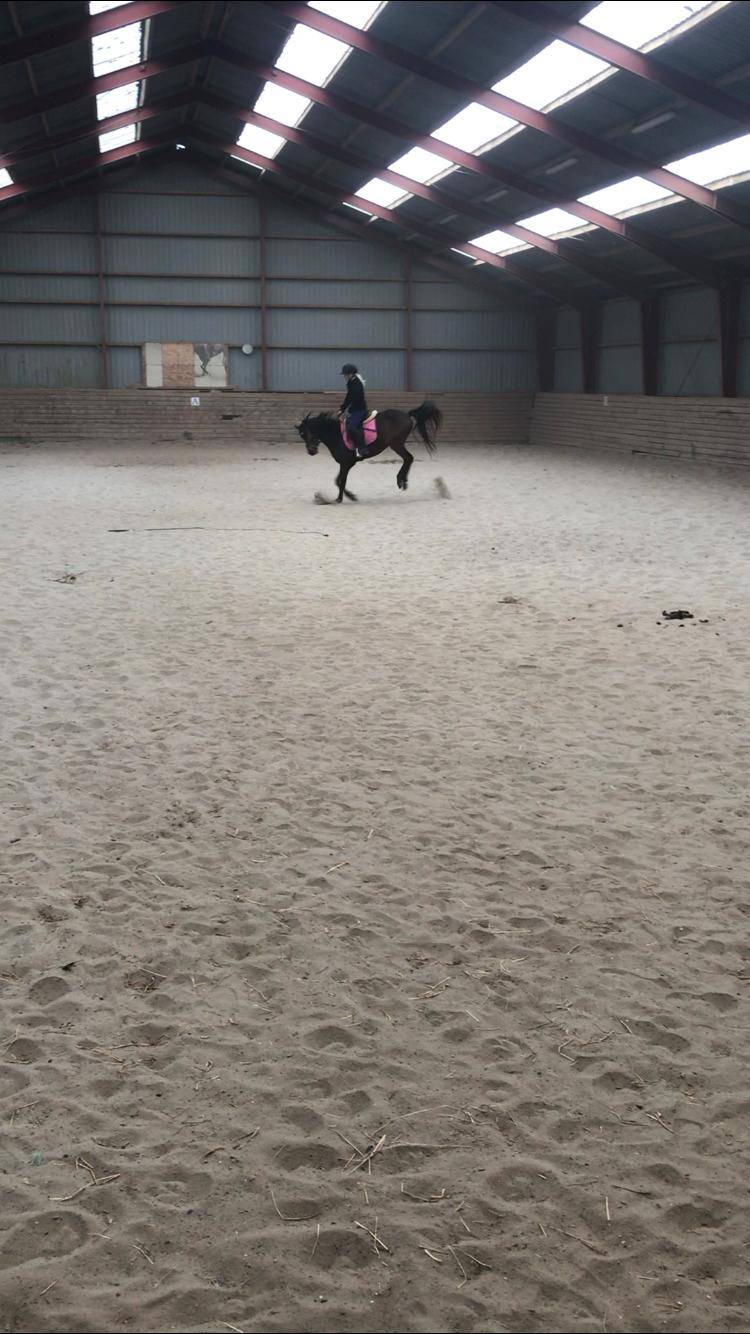 DSP Falcao billede 12