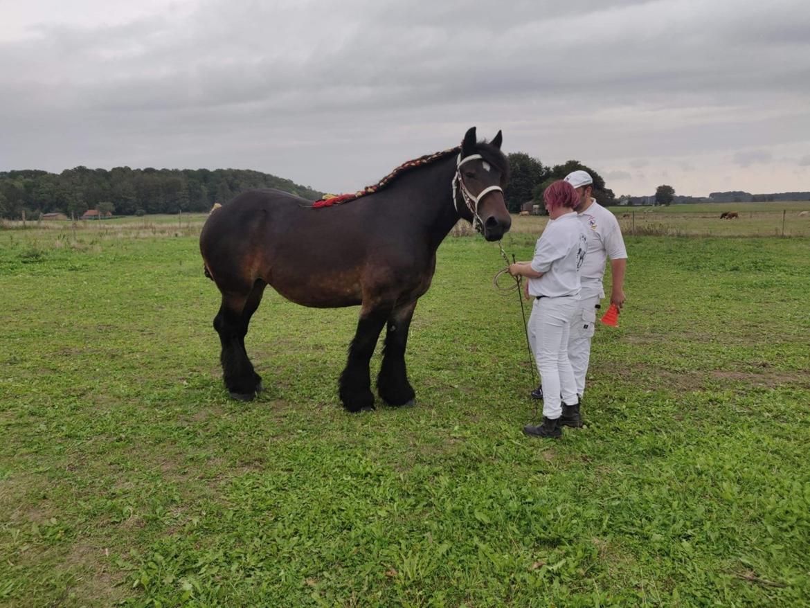 Belgier Trine - Hjemmekåring 12.09.20 billede 3