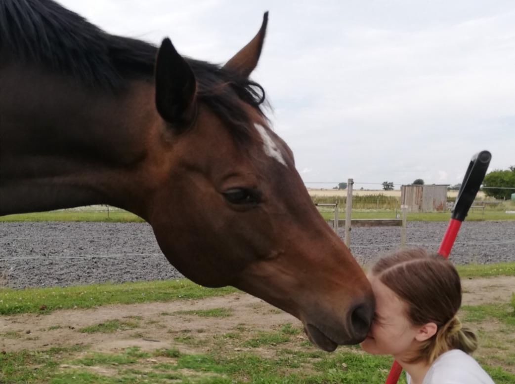 Holstener Oneida  billede 3