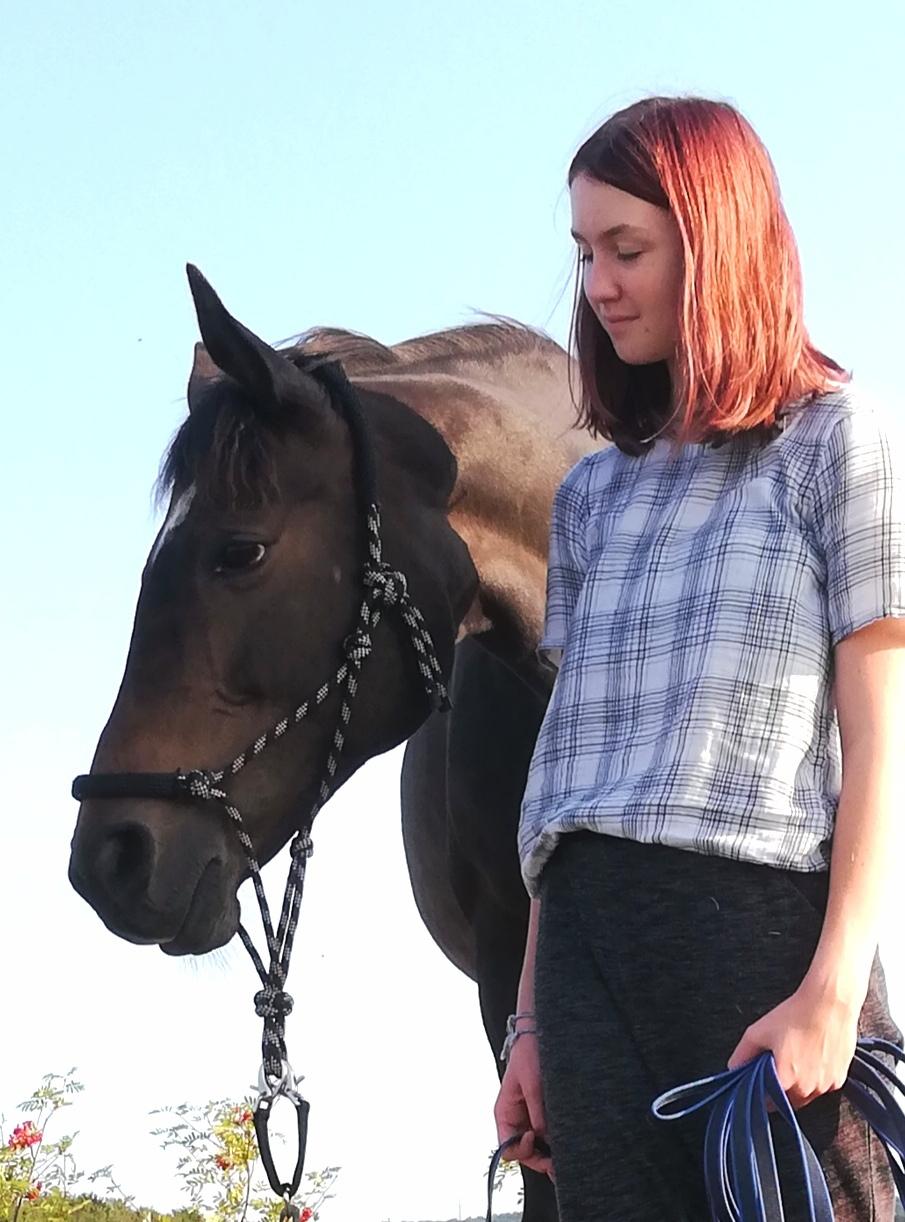 Holstener Oneida  billede 9