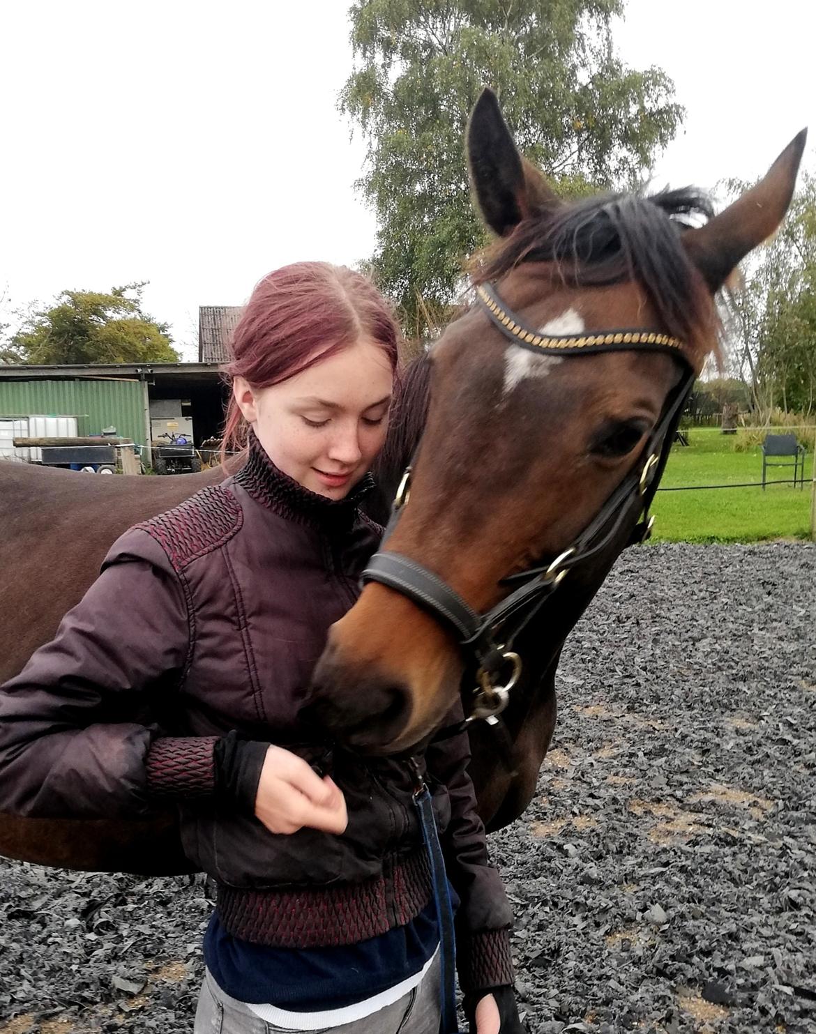 Holstener Oneida  billede 10