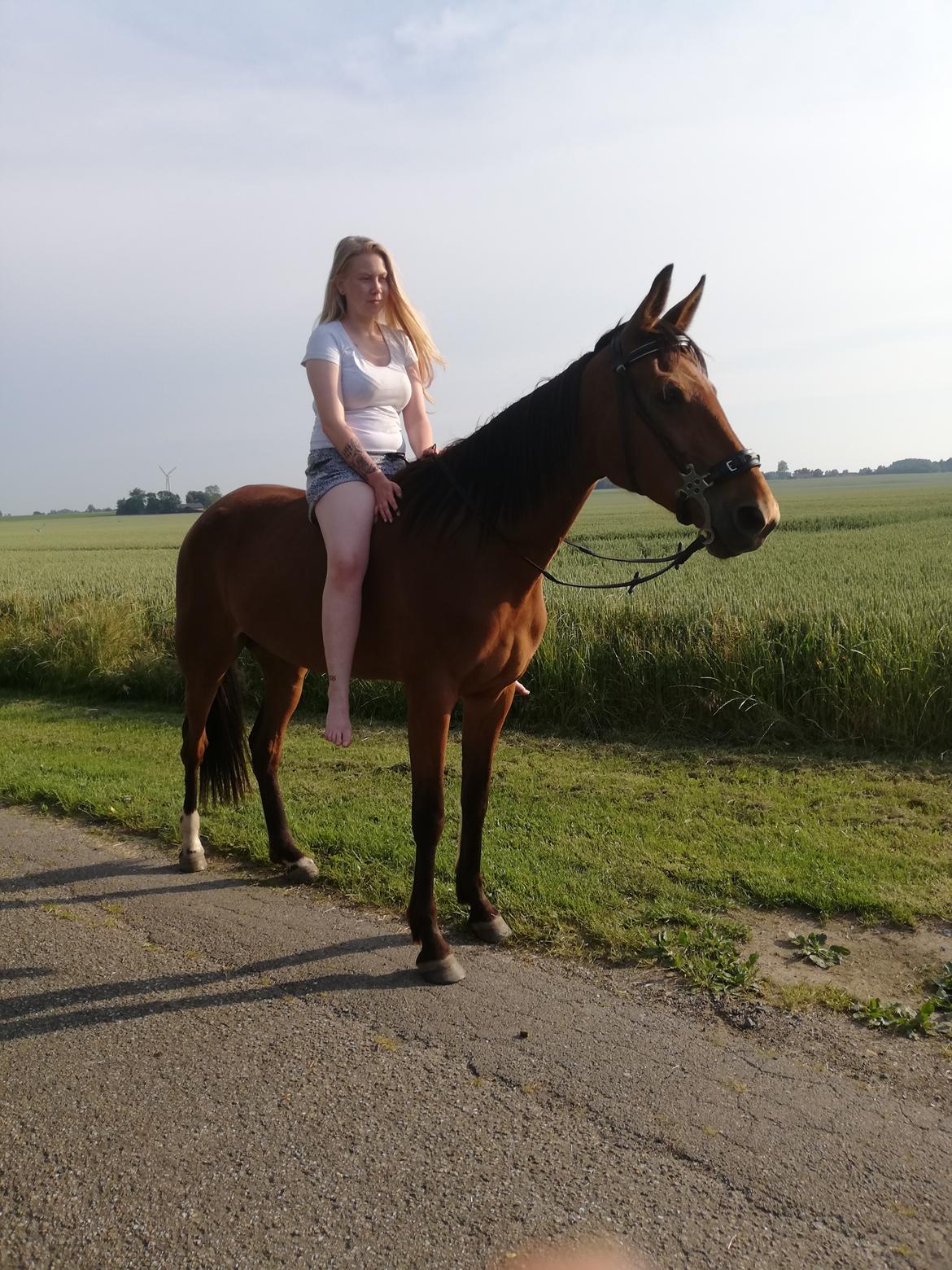 Traver Baby Princess (SOLGT)  billede 3