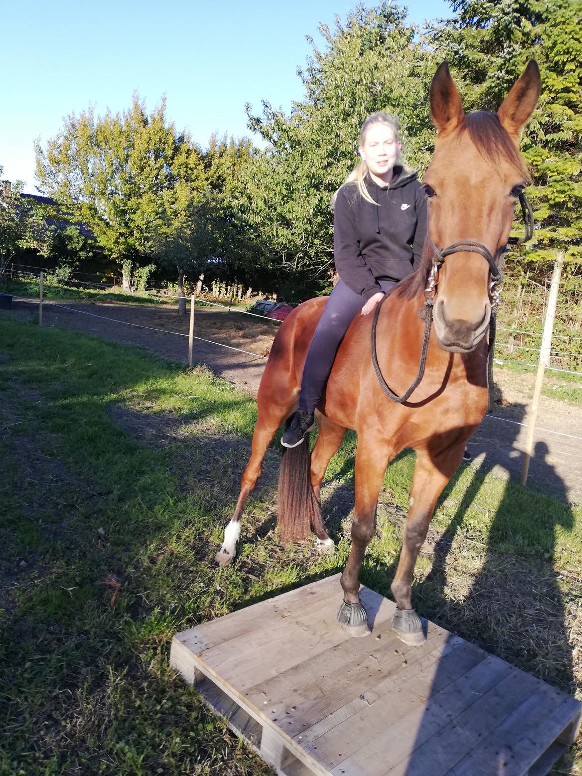 Traver Baby Princess (SOLGT)  billede 10