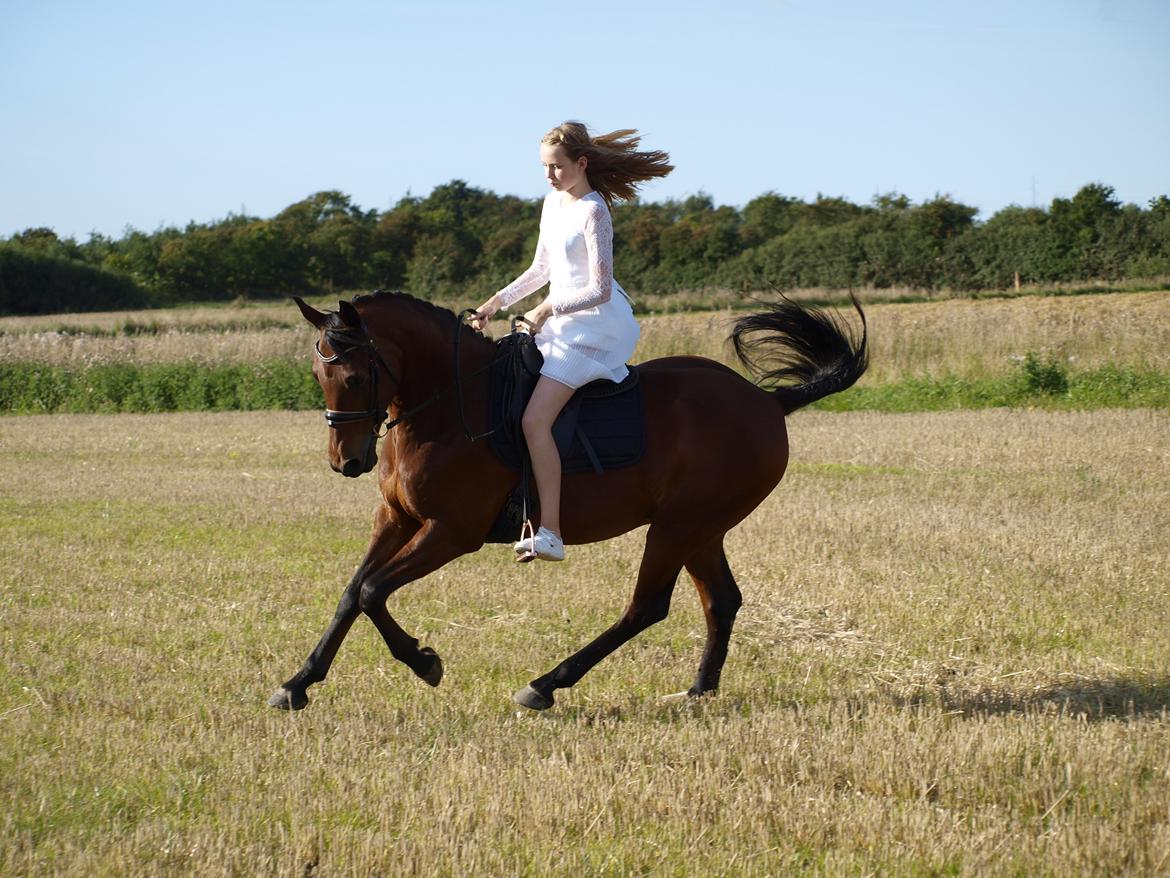 DSP Boliviano (Cas) billede 8