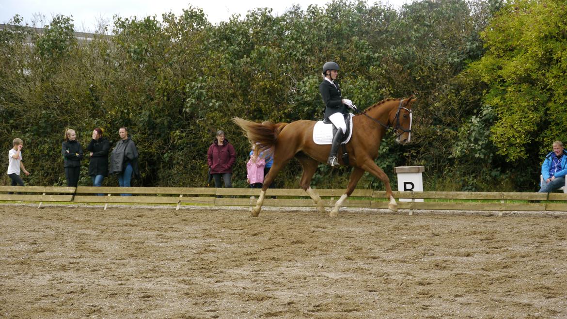 Frederiksborg Hedevangs viva billede 10