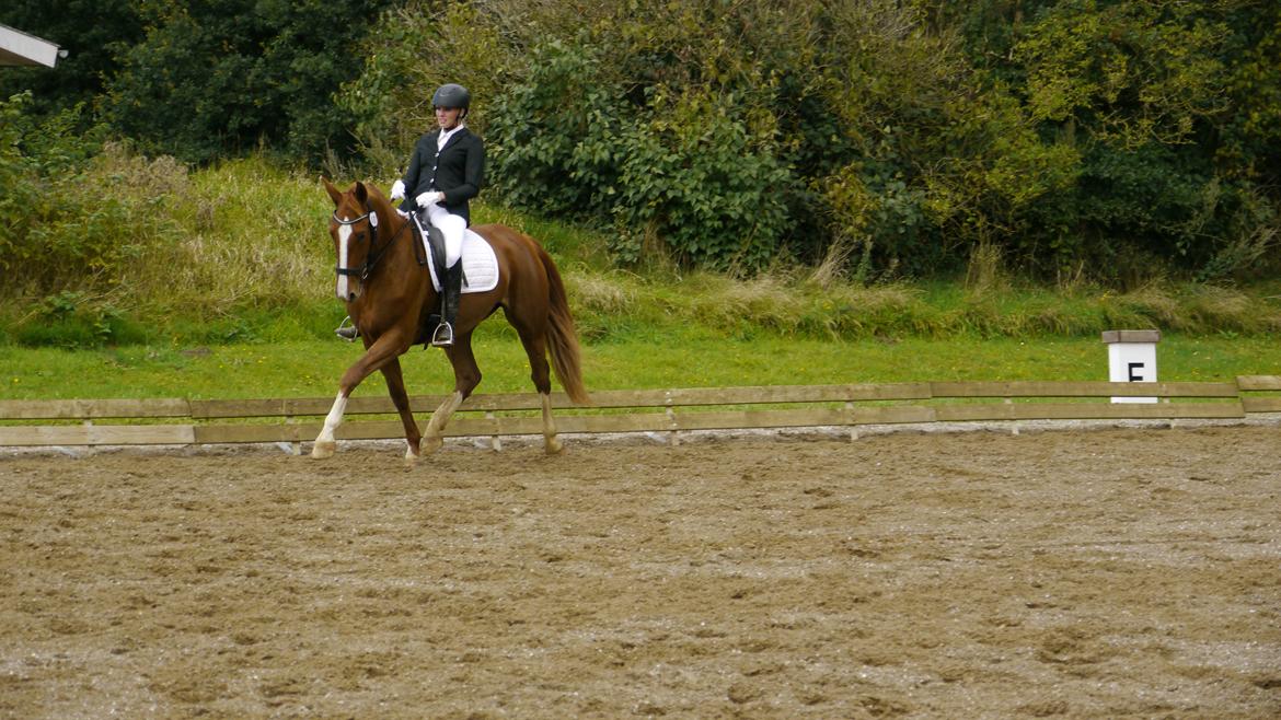 Frederiksborg Hedevangs viva billede 16