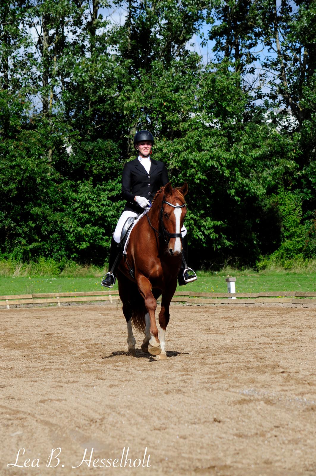 Frederiksborg Hedevangs viva billede 13