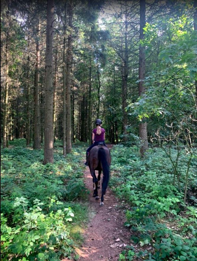 Holstener Iris von Harknag billede 2