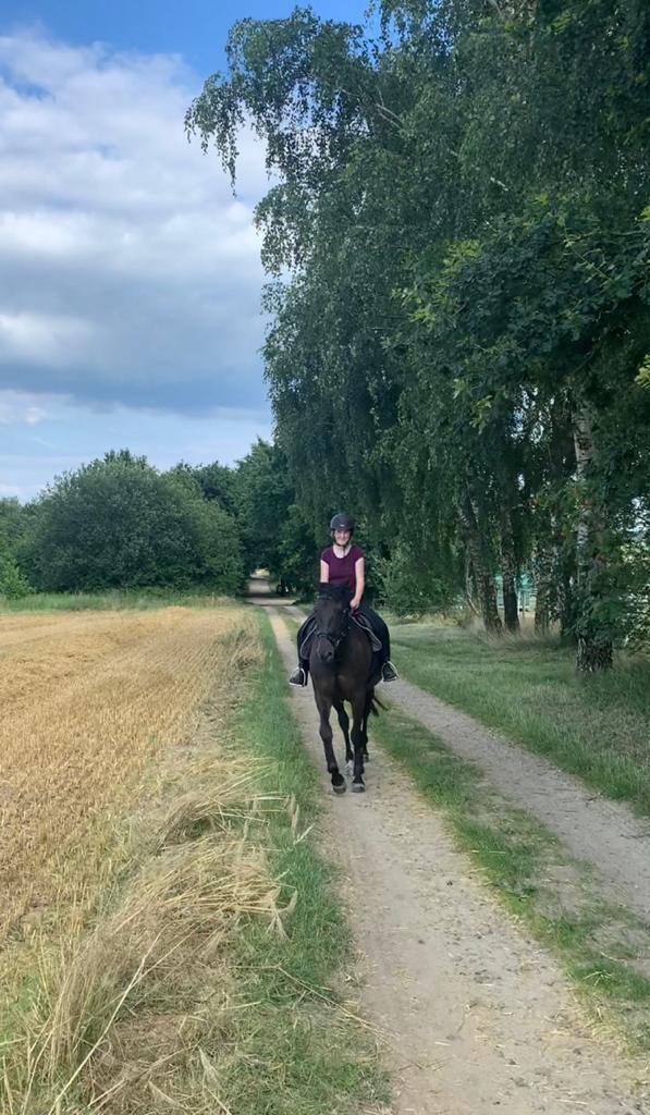 Holstener Iris von Harknag billede 4