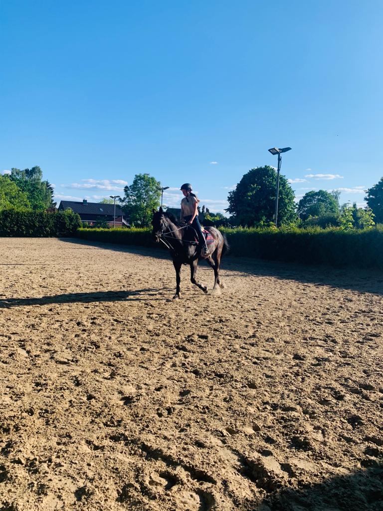 Holstener Iris von Harknag billede 5